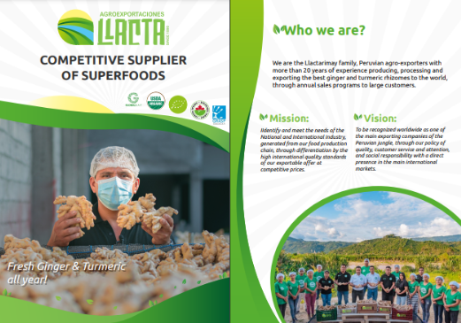 Diseno de Branding para la empresa agroexportadora Agrollacta